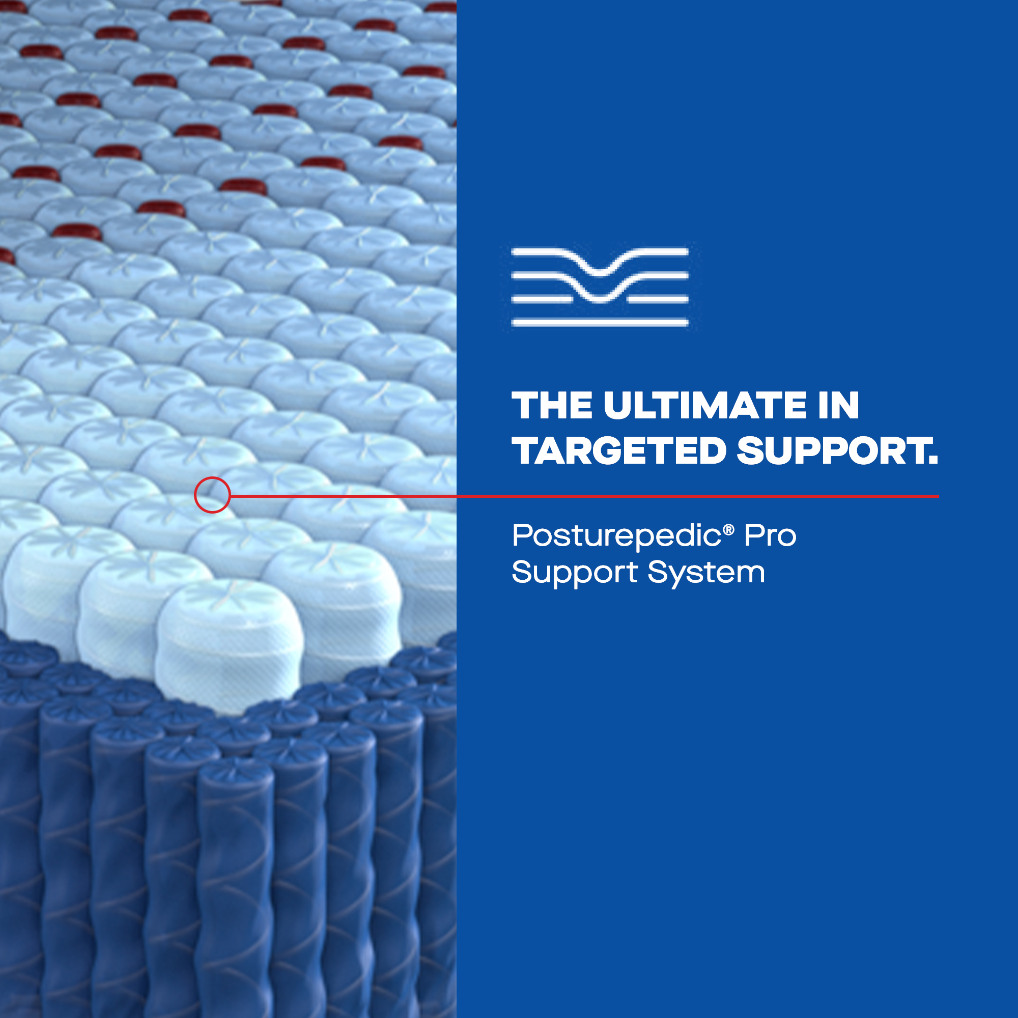 38037-41-SEA Posturepedic Launch Mar24 - NL1 PDPs Update_ELITE HYB_HIgh Point II_ FIRM_ATF_A_01ATF 5 - Support